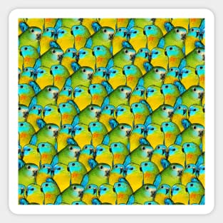 Turquoise Parakeet Parrot Bird Pattern Sticker